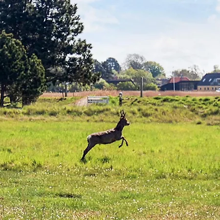 בית נופש 3 In In Karrebæksminde